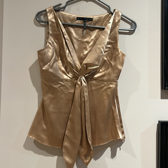 sandra angelozzi Tops - 🎁Weekend sale!! Great top for the holidays